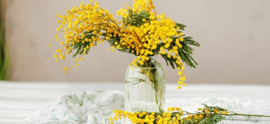 Cozy,Spring,Still,Life,With,Mimosa,Bouquet,In,Glass,Vase